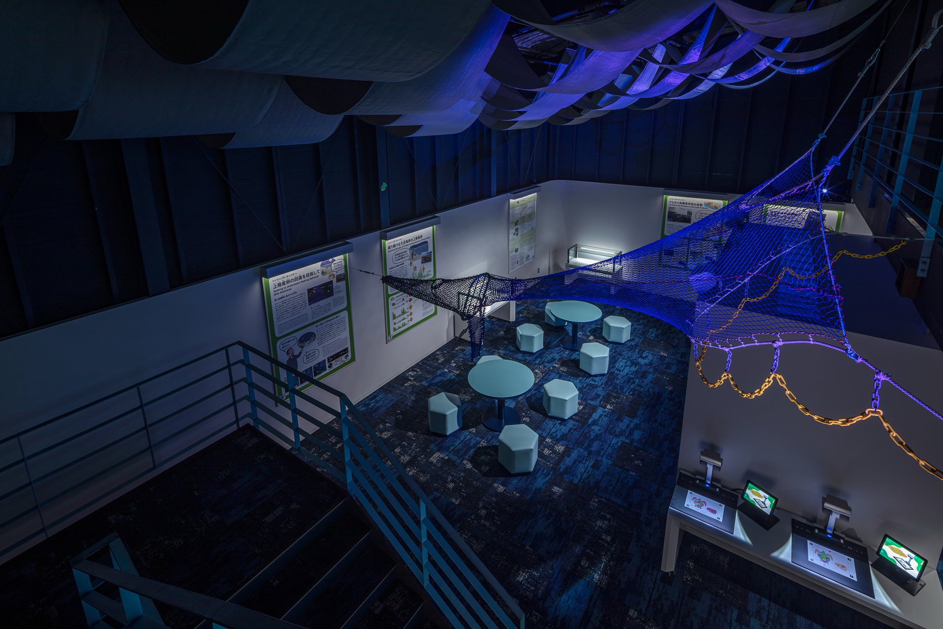 日和佐うみがめ博物館カレッタ リニューアル5